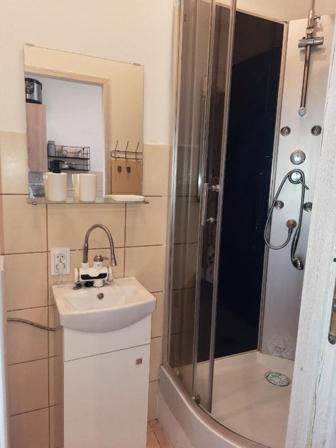 Sleep And Go Apartment - Free Parking Kattowitz Exterior foto